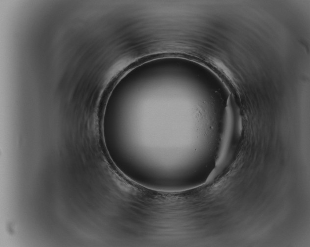X0000093491072200710121502
