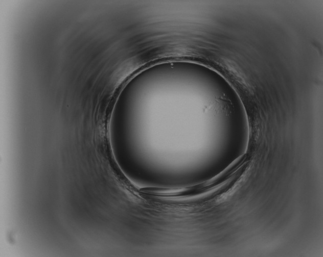 X0000093491073200710121502