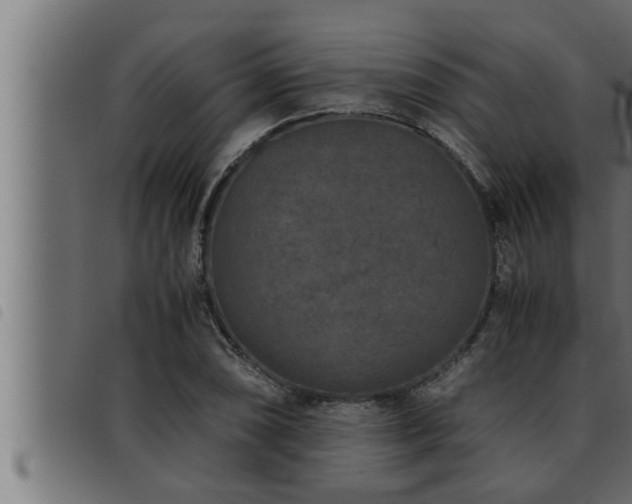 X0000093491074200710121502