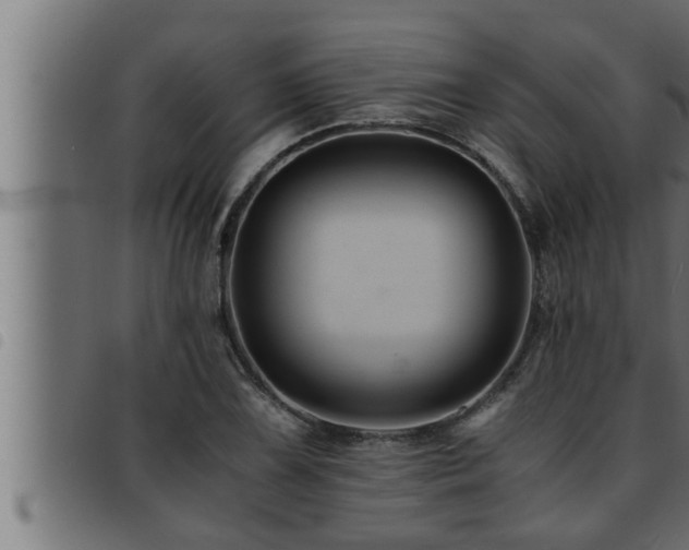 X0000093491075200710121502