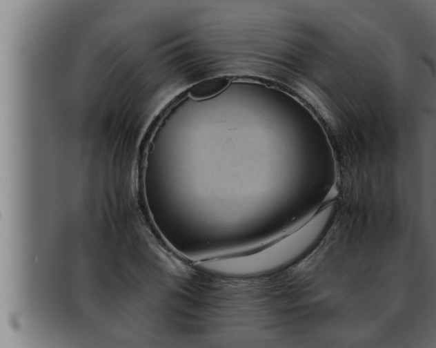 X0000093491076200710121502