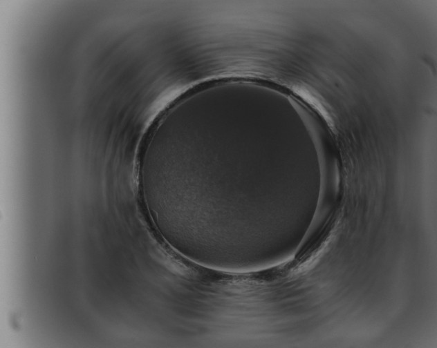 X0000093491077200710121502