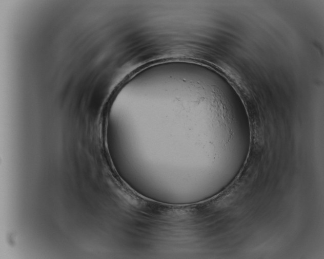 X0000093491078200710121502
