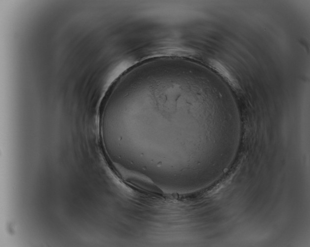 X0000093491079200710121502