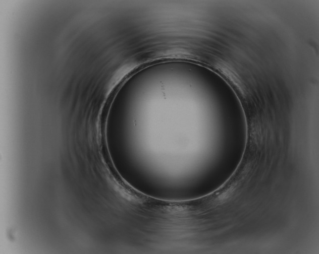 X0000093491082200710121502