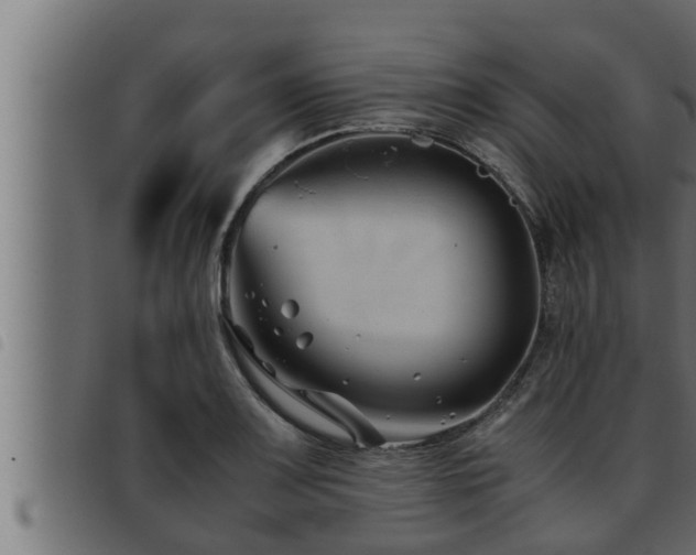 X0000093491083200710121502