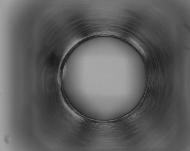 X0000093491084200710121501