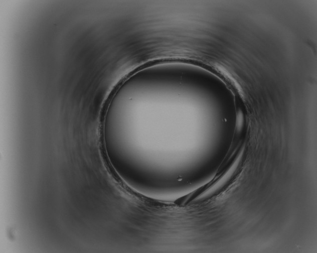 X0000093491085200710121501
