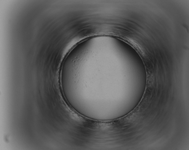 X0000093491086200710121501