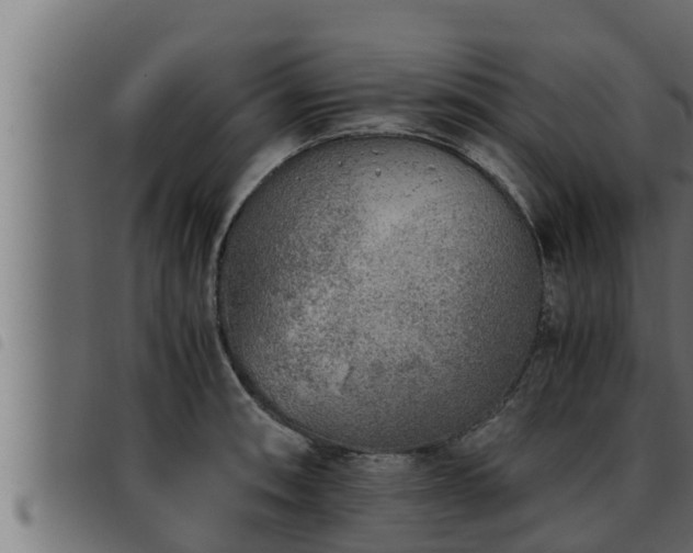X0000093491090200710121501
