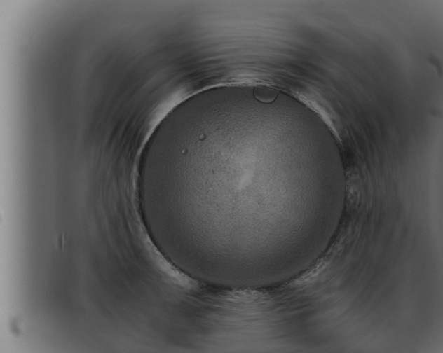 X0000093491091200710121501