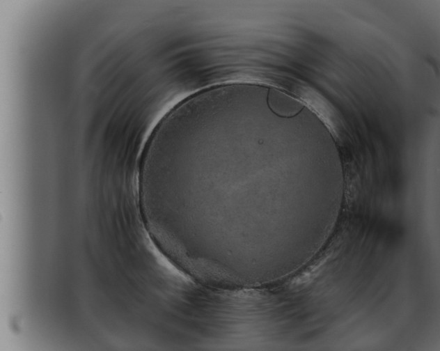 X0000093491092200710121501