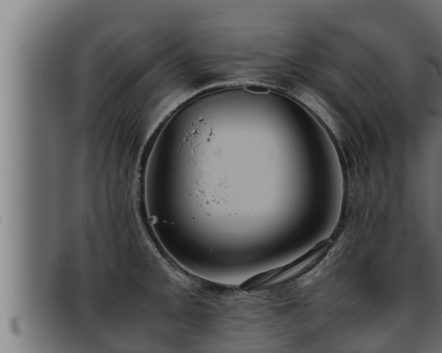 X0000093491093200710121501