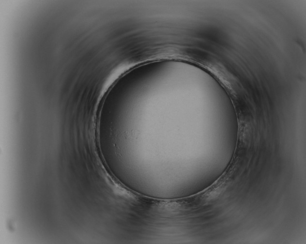 X0000093491094200710121501
