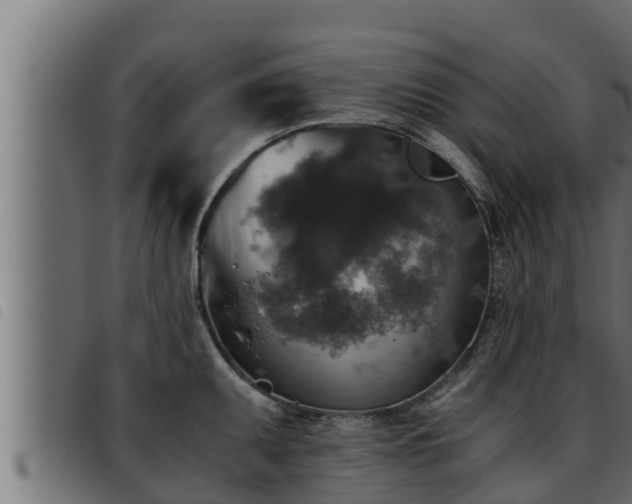 X0000093491095200710121501