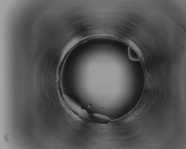 X0000093491096200710121501
