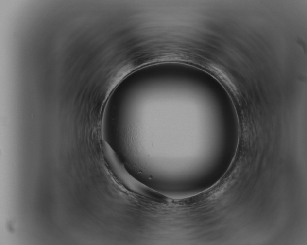 X0000093491097200710121501