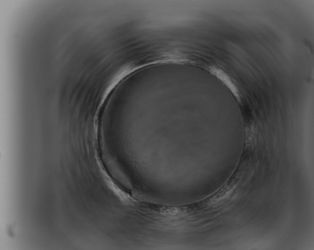 X0000093491099200710121501