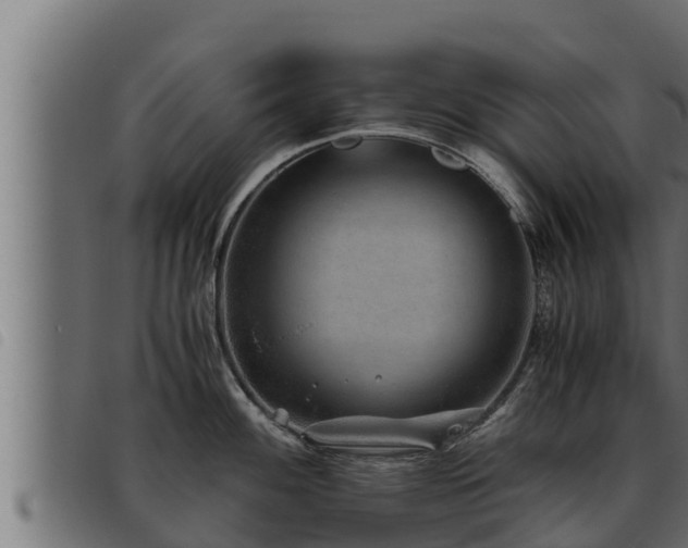 X0000093491100200710121501