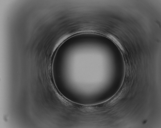 X0000093491101200710121501