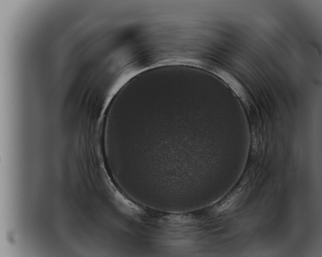 X0000093491102200710121501