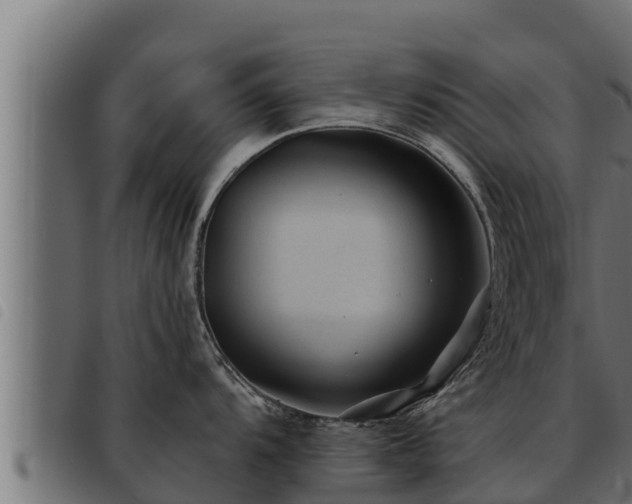 X0000093491104200710121501
