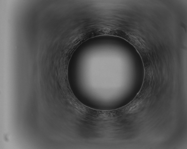 X0000093491105200710121501