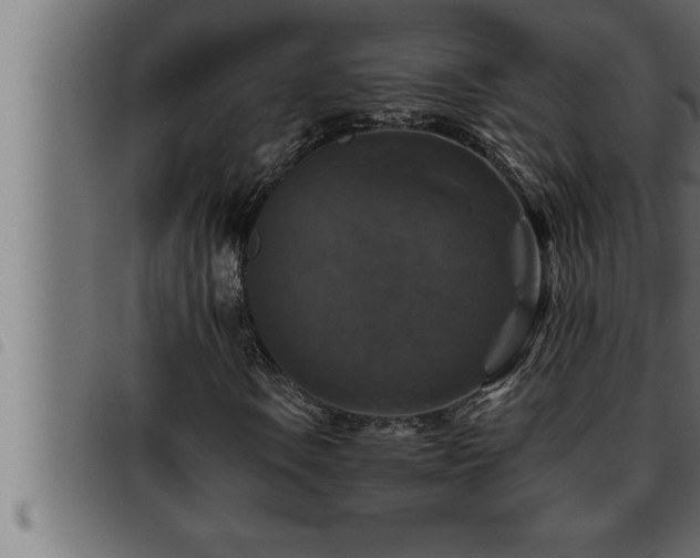 X0000093491106200710121501