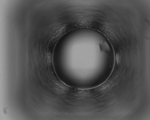 X0000093491107200710121501