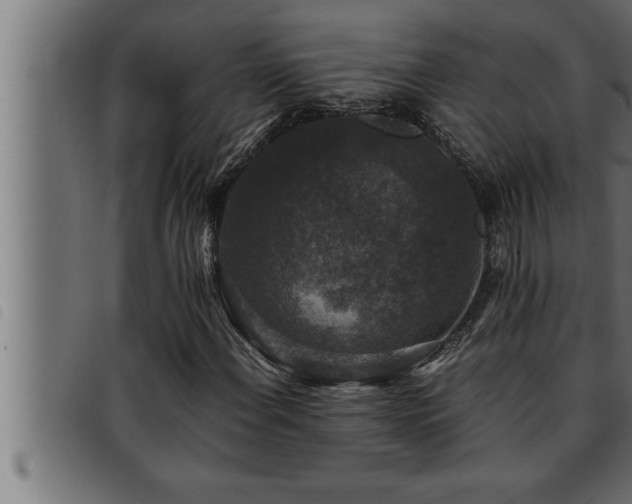 X0000093491108200710121501