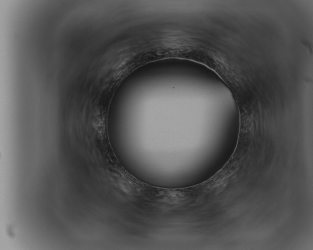 X0000093491109200710121501