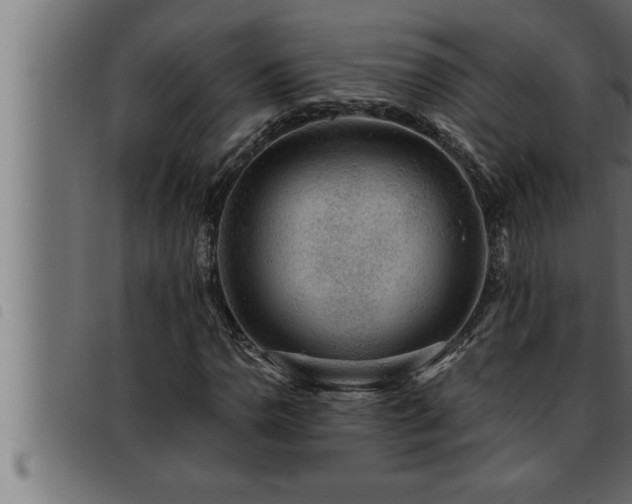 X0000093491110200710121501