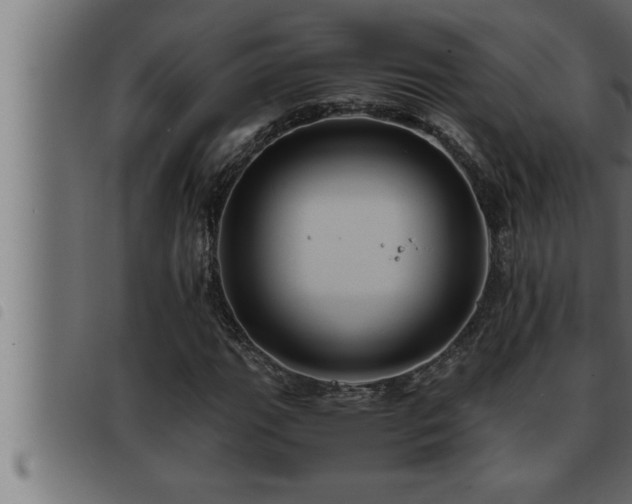 X0000093491111200710121501