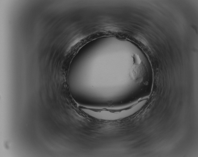 X0000093491112200710121501
