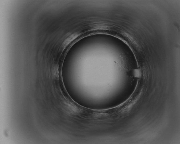 X0000093491113200710121501