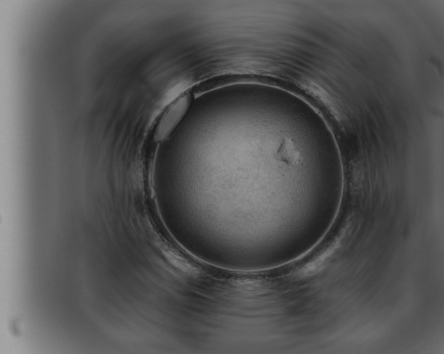 X0000093491114200710121501