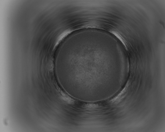 X0000093491115200710121501