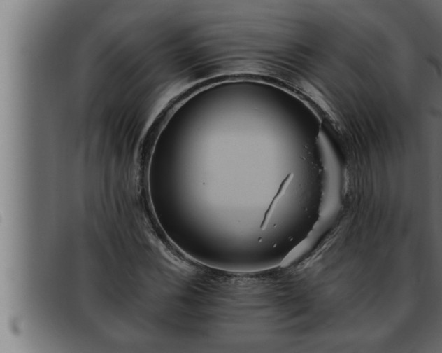 X0000093491116200710121501