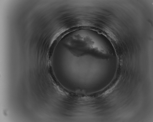 X0000093491117200710121501
