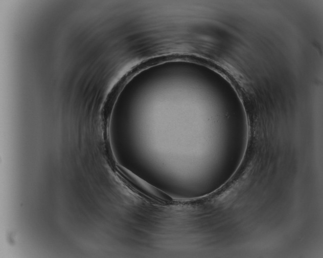 X0000093491118200710121501