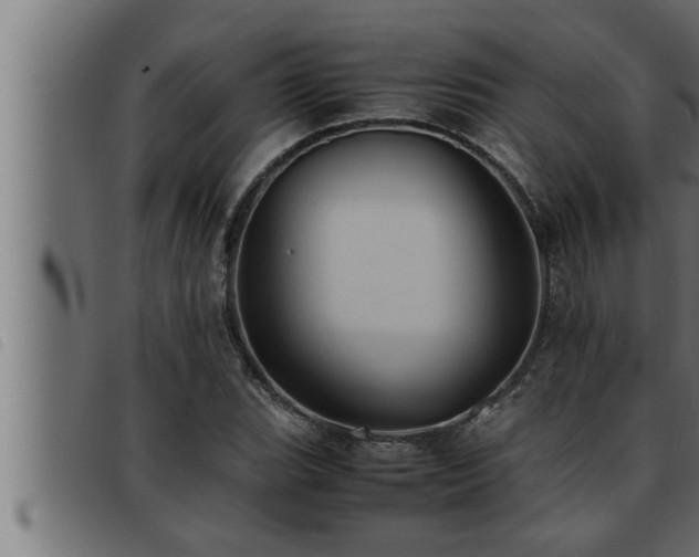 X0000093491119200710121501