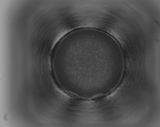 X0000093491120200710121501
