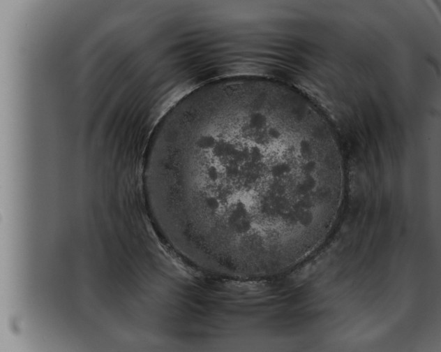 X0000093491121200710121501