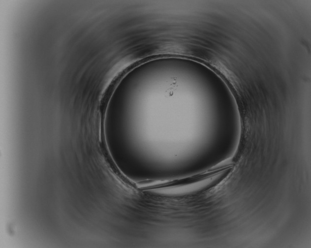 X0000093491123200710121501