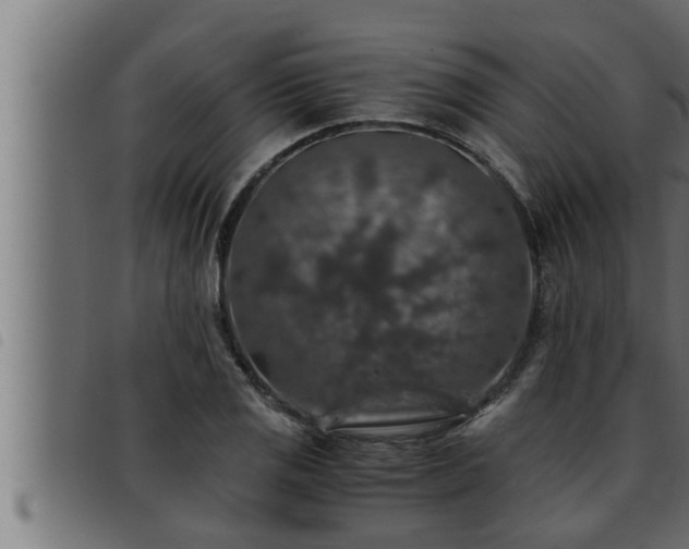 X0000093491125200710121501