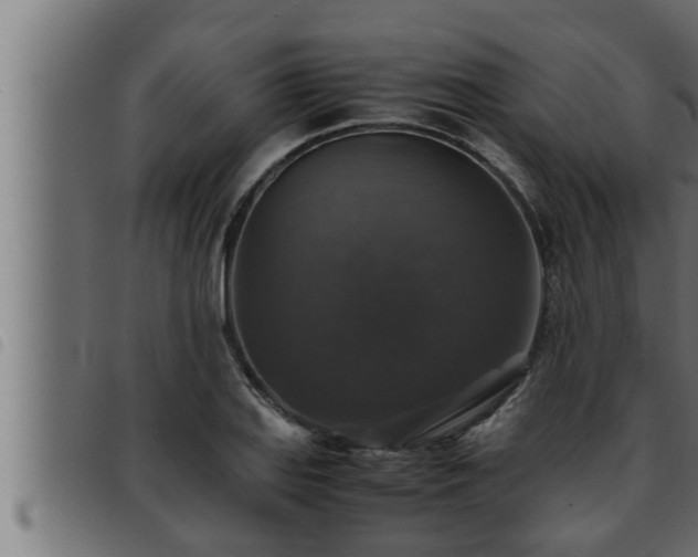 X0000093491127200710121501
