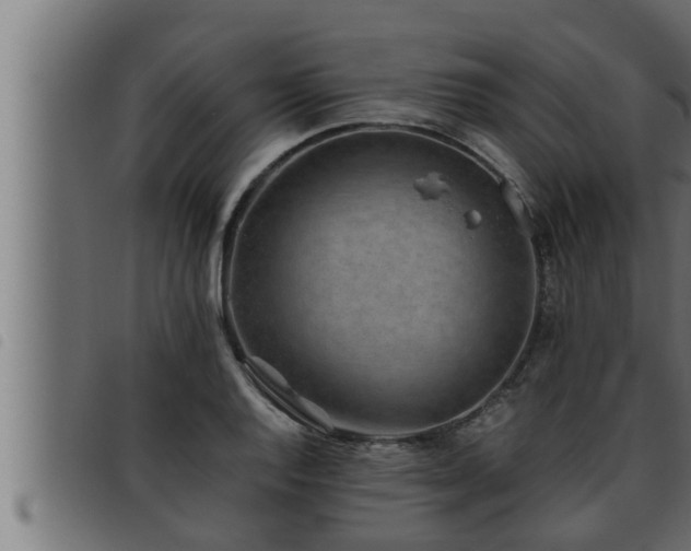 X0000093491128200710121501