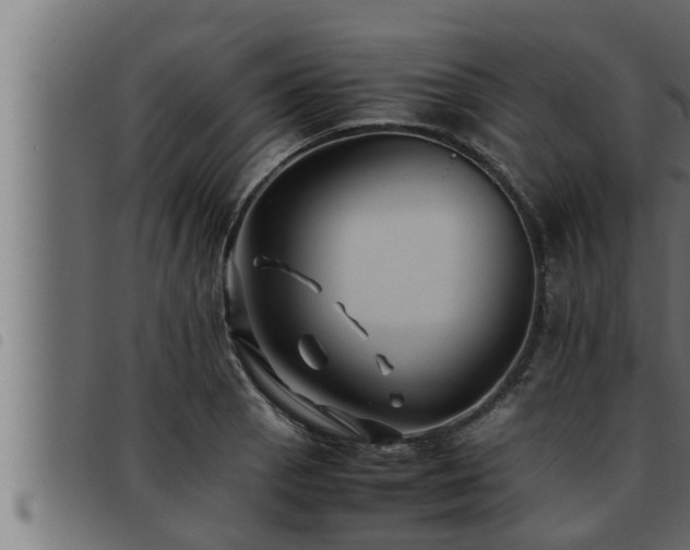 X0000093491129200710121501