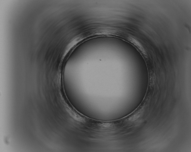 X0000093491130200710121501