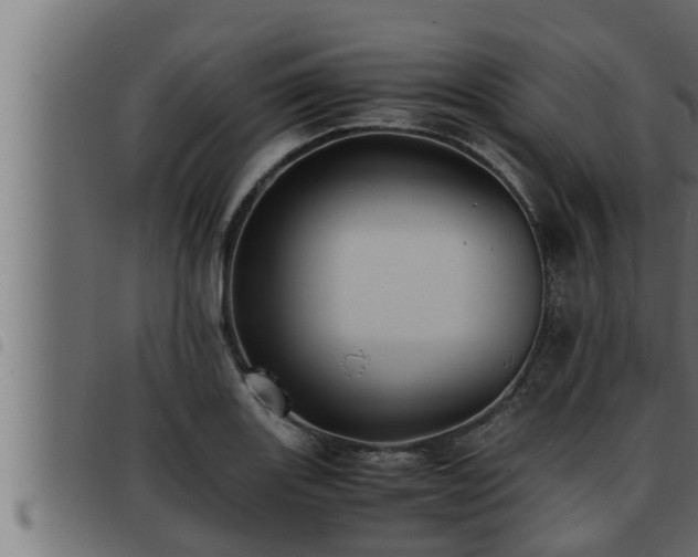 X0000093491131200710121501